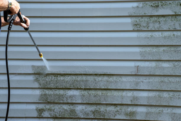 Affordable siding repair and maintenance services in Galena Park, TX