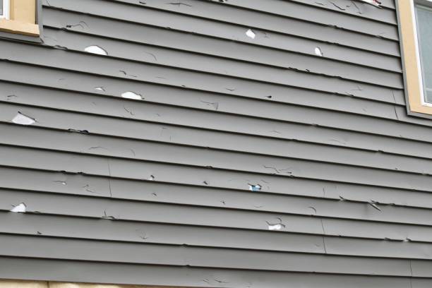 Trusted Galena Park, TX Siding Installation & Repair Experts